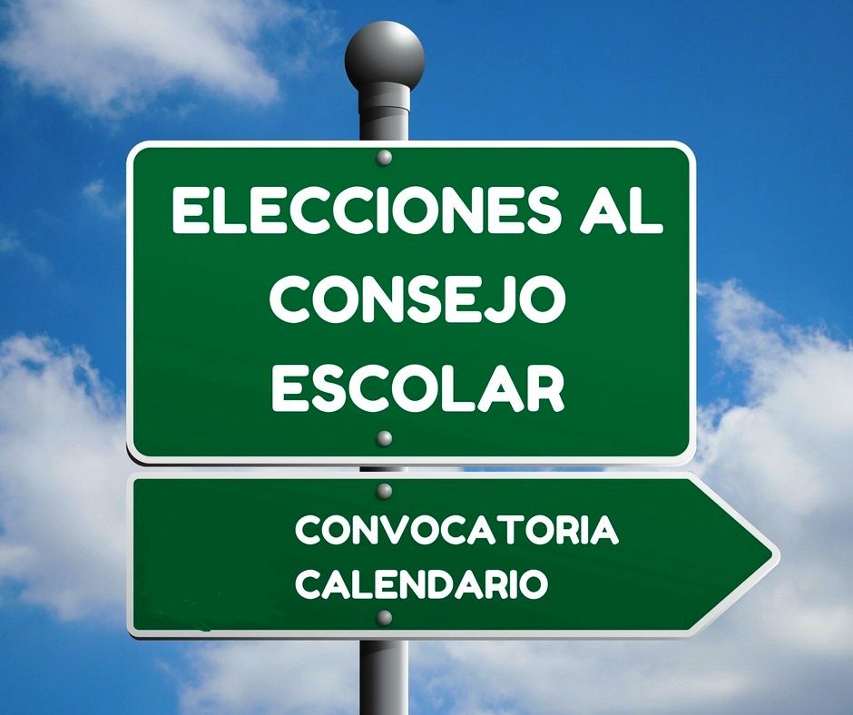 ELECCIONES CONSEJOS ESCOLARES 07